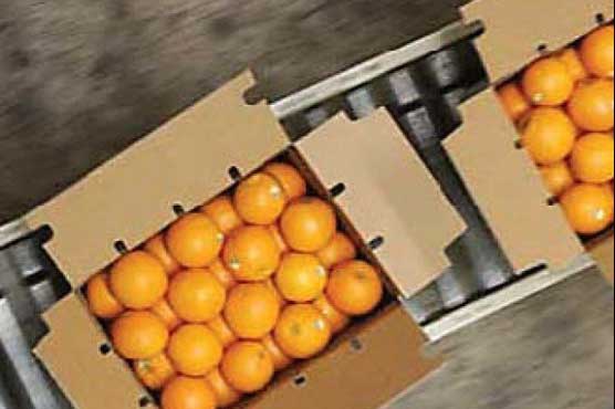 Low orange yields cut Pakistan exports by 1.5 lac tonne