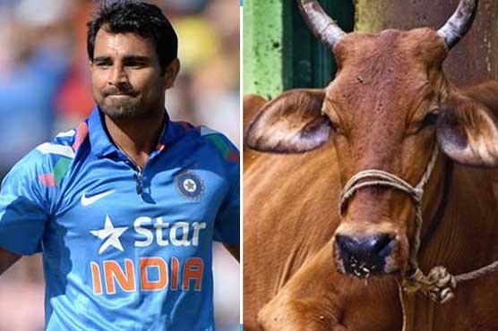 'Cow slaughter' charge being used to target family, claims Indian cricketer's father