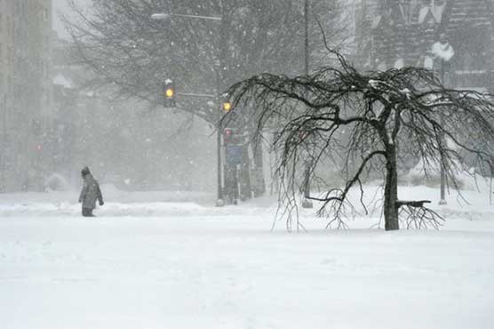 Blizzard for record books paralyzes New York and Washington, 20 dead