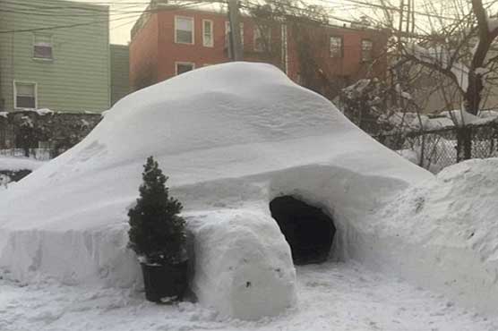 New Yorker builds $200-a-night 'boutique' igloo
