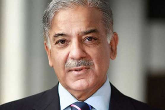 Credit goes to PML-N for decline in corruption: Shahbaz Sharif