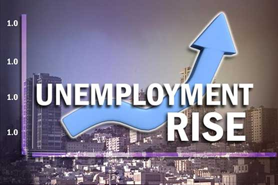 Unemployment rate in educated people higher than illiterates: IPR