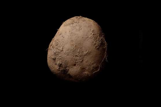 Potato photograph sells for $1 million