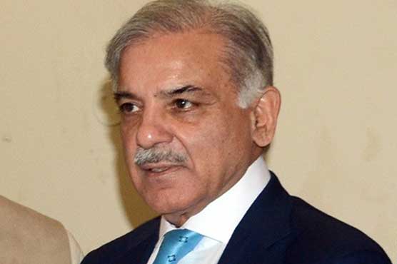 CM Punjab inaugurates botanical garden, butterfly house in Lahore
