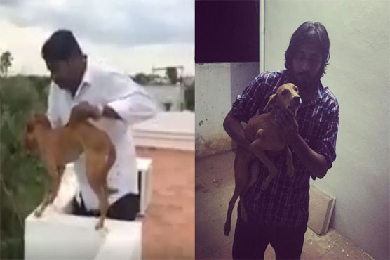 India police hunt for students who threw dog off roof