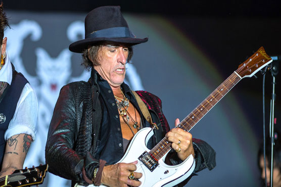 Aerosmith's Joe Perry collapses in concert