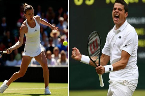Raonic and Halep withdraw from Rio tennis over Zika