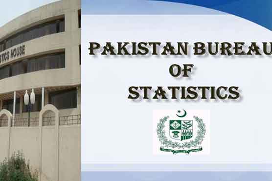 Intl' conference on holding 6th population census from July 25