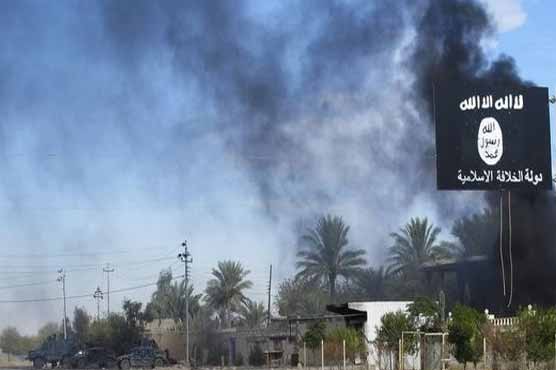 IS presses assault on rebel territory in north Syria: monitor