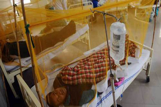 Dengue affected patients in Rawalpindi reach 12