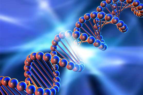 Scientists unveil plan to create synthetic human genomes