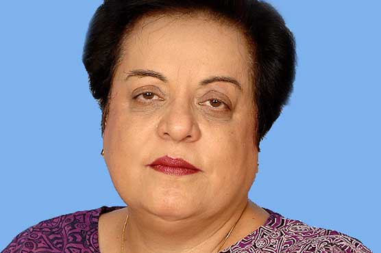 "Expunging the record is not enough," Mazari tells NA Speaker over Asif's outburst