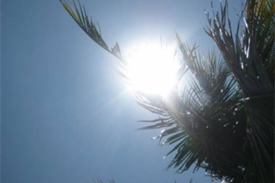 Weather to remain hot, rain likely at some places