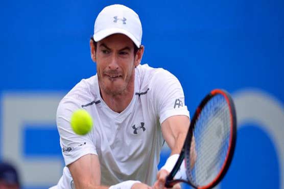 Tennis: Murray to face Raonic in Queen's final