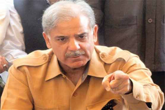 Turkish National Police played vital role in advance police training: CM Shehbaz