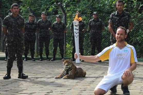 Amazon jaguar shot dead after Olympic torch ceremony