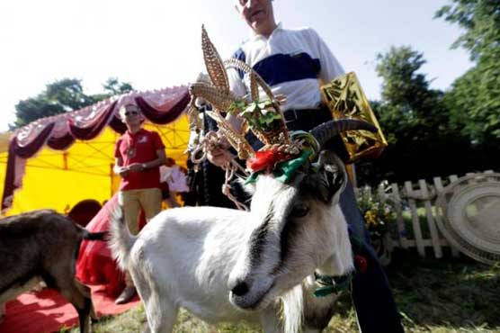 Lithuanian village crowns prettiest goat in annual pageant