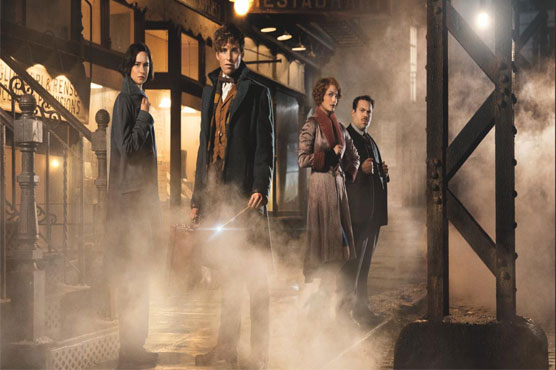 Director David Yates talks 'Fantastic Beasts'