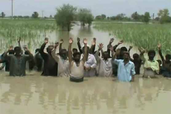 Rajanpur: Flash flood ravages crops, houses affecting thousands of residents