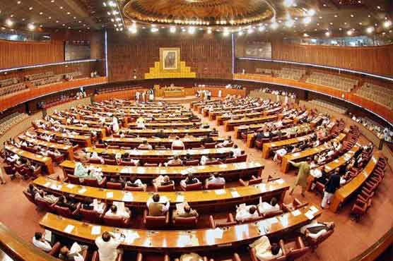 Senate's committee approves amendment in children protection law