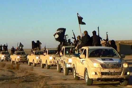 US forces capture major IS operative in Iraq: official