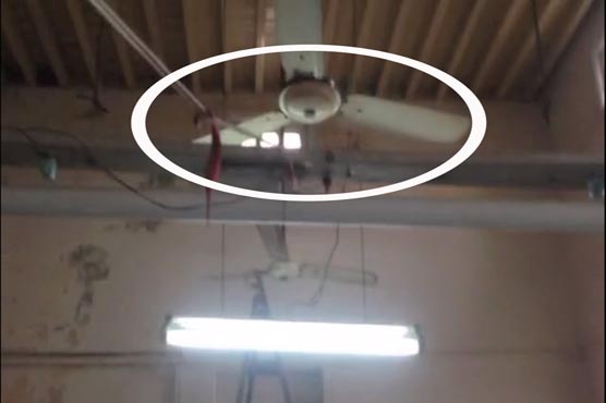 Lahore: Irrigation dept employee commits suicide after gambling loss