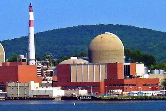 Bird poop apparently caused NY nuclear reactor outage