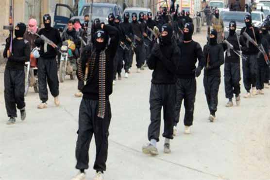 Qaeda in Syria seizes key hilltops from regime: monitor