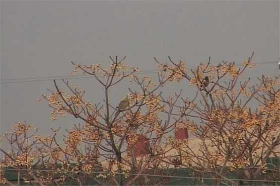  Met dept forecasts rain over the next 7 days