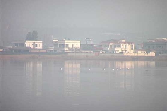 PM takes notice of Dunya News' report regarding Rawal Dam china-cutting