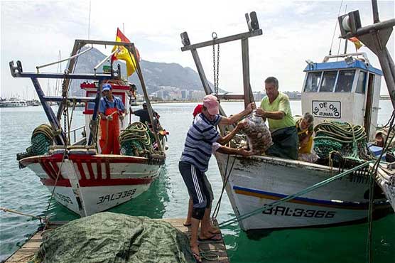 Spain detains six for illegal fishing in Antarctica