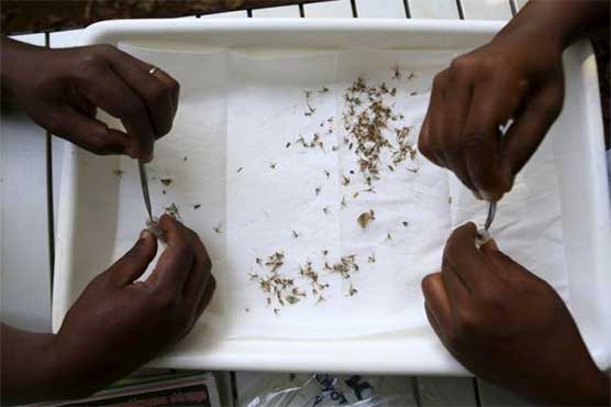 Bangladesh confirms first case of Zika virus