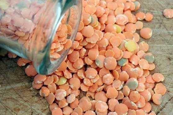 Lentils import surges by 57 percent in eight months