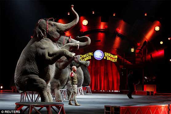 Ringling elephants, a famed US circus act, pack up trunks for retirement