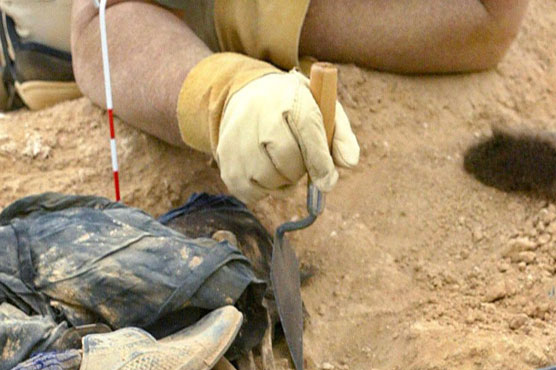 Skeletal human remains found at 100-year-old music venue