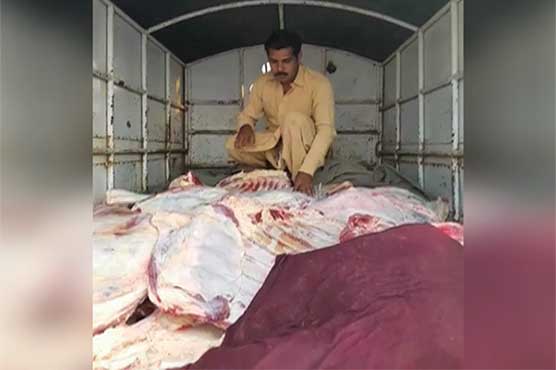 Punjab Food Authority seizes 1200kg substandard meat in Lahore