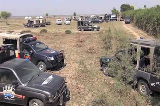 Sadiqabad: 7 dacoits surrender on day one of operation against Baga Kosh gang