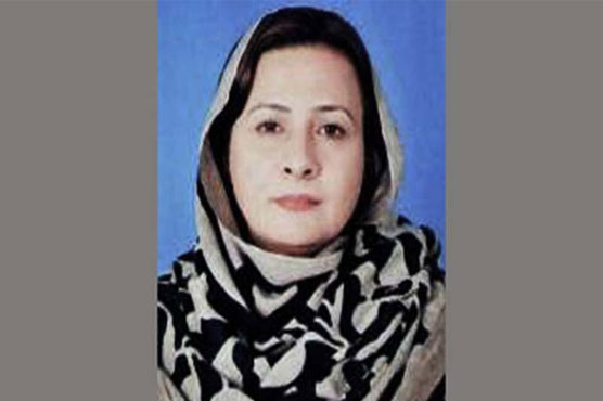 SC rejects PML-N MPA's plea, orders re-election in DG Khan's PP-240