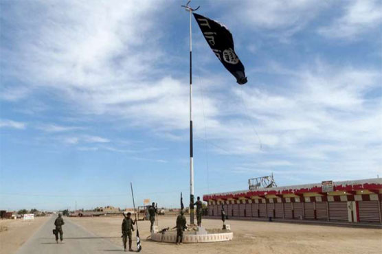 IS has lost nearly half the area it once claimed in Iraq: Pentagon