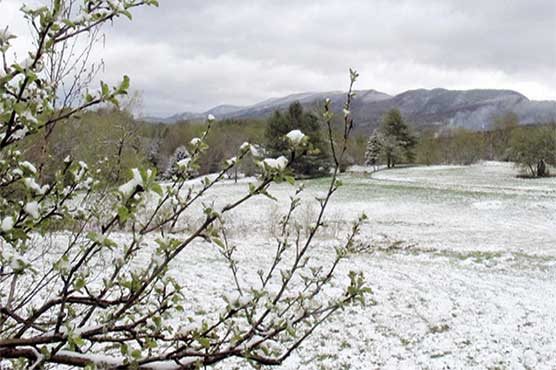 Residents in northern New England awaken to snow in mid-May