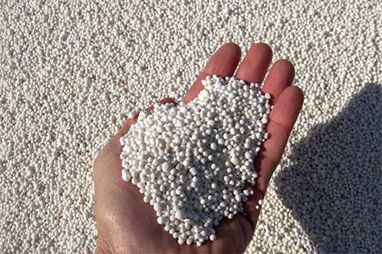Tanzania to begin building $3 bln fertiliser plant this year