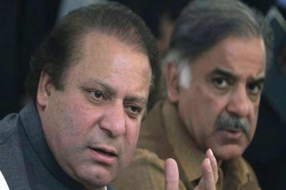PPP to file reference regarding ineligibility of PM, his family