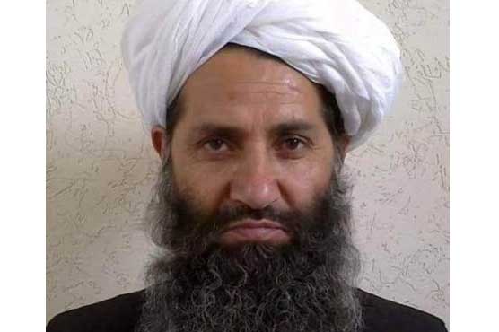 Naming of new Afghan Taliban chief seen dimming Obama's hopes for Afghan peace talks
