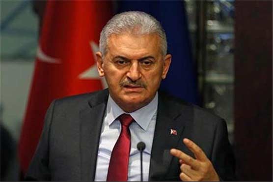 New Turkish PM wins parliament confidence vote