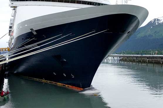 Dead whale found on bow of cruise ship entering Alaska port