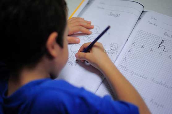 No more homework! Spanish parents go on strike