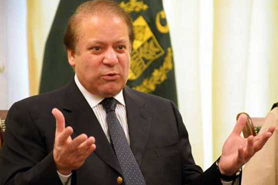 Constitution disallows PM's 'solo flight': SC rejects govt's review appeal