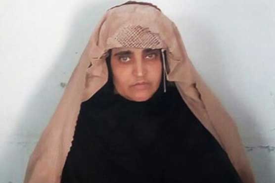 Afghan woman Sharbat Gula confesses to staying in Pakistan illegally