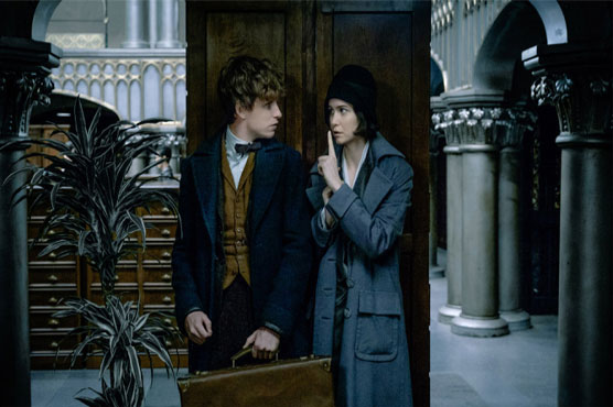 Wizardry of 'Fantastic Beasts' tops N American box office