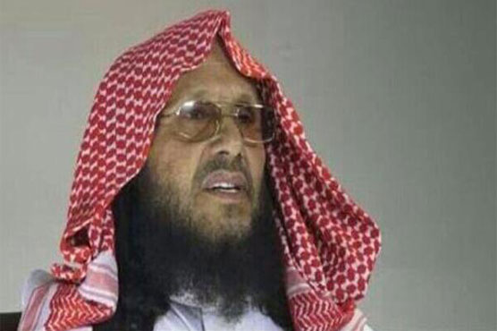 'Senior Al Qaeda leader' killed in US strike in Syria: Pentagon